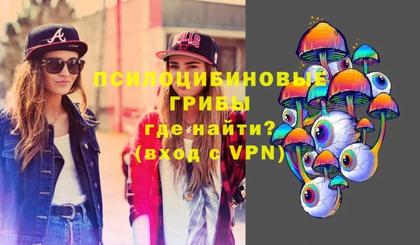 гашик Абинск